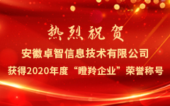 熱烈祝賀安徽卓智信息技術有限公司獲得2020年度“瞪羚企業”榮譽稱号